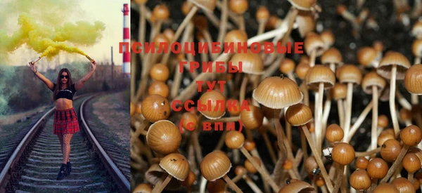 mdpv Баксан