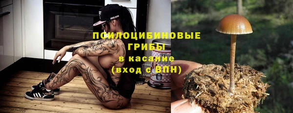 МДПВ Аркадак